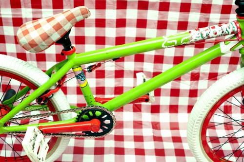 aaron_ross_picnic_bike_check_02