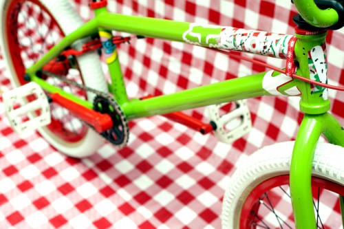 aaron_ross_picnic_bike_check_03