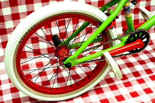 aaron_ross_picnic_bike_check_04