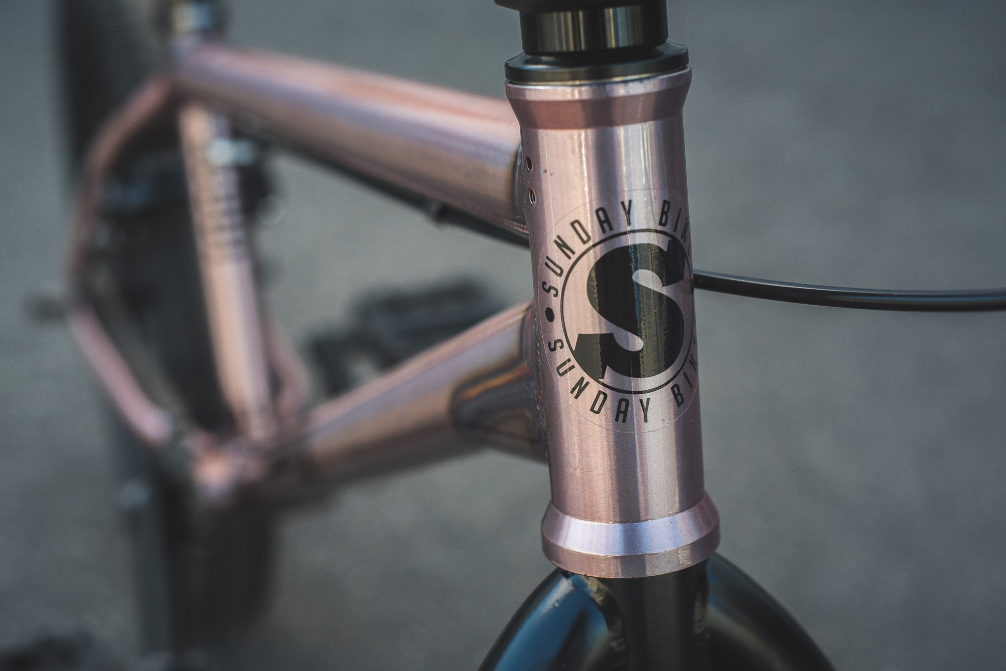 rose bike frame