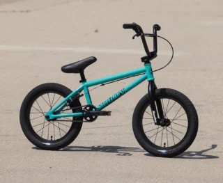 EX – Gary Young | Sunday Bikes